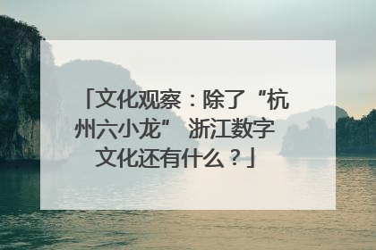 文化观察：除了“杭州六小龙” 浙江数字文化还有什么？