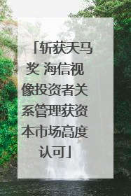 斩获天马奖 海信视像投资者关系管理获资本市场高度认可