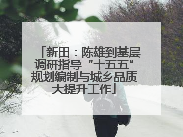 新田：陈雄到基层调研指导“十五五”规划编制与城乡品质大提升工作