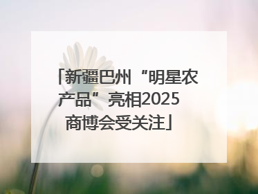 新疆巴州“明星农产品”亮相2025商博会受关注