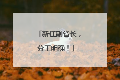新任副省长，分工明确！