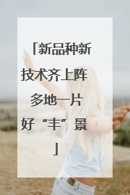新品种新技术齐上阵 多地一片好“丰”景