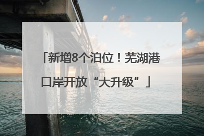 新增8个泊位！芜湖港口岸开放“大升级”