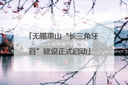 无锡惠山“长三角牙谷”建设正式启动