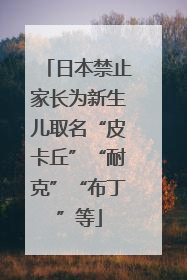 日本禁止家长为新生儿取名“皮卡丘”“耐克”“布丁”等