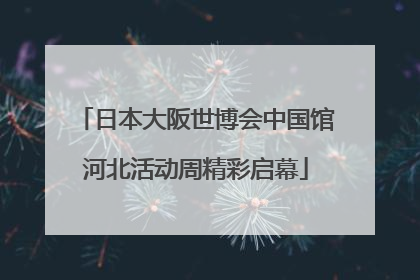 日本大阪世博会中国馆河北活动周精彩启幕