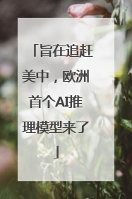 旨在追赶美中，欧洲首个AI推理模型来了