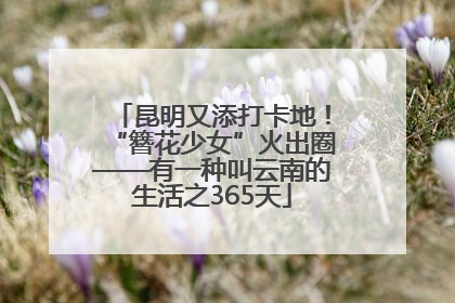 昆明又添打卡地！“簪花少女”火出圈——有一种叫云南的生活之365天