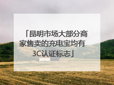 昆明市场大部分商家售卖的充电宝均有3C认证标志