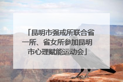 昆明市强戒所联合省一所、省女所参加昆明市心理赋能运动会