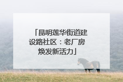 昆明莲华街道建设路社区：老厂房焕发新活力