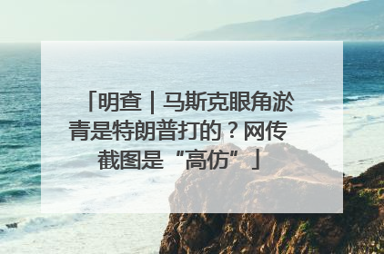 明查｜马斯克眼角淤青是特朗普打的？网传截图是“高仿”