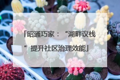 昭通巧家：“湖畔议栈”提升社区治理效能