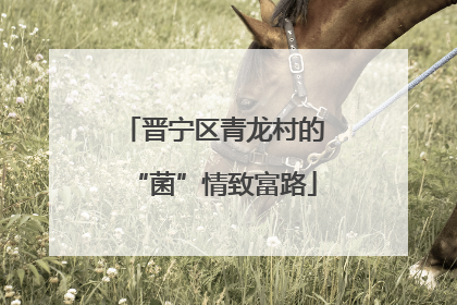 晋宁区青龙村的“菌”情致富路