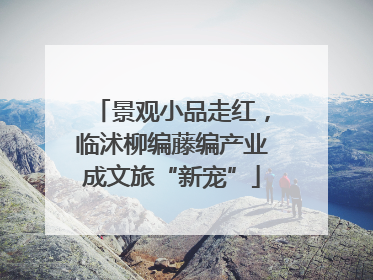 景观小品走红，临沭柳编藤编产业成文旅“新宠”