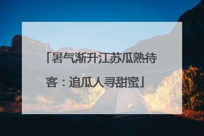 暑气渐升江苏瓜熟待客：追瓜人寻甜蜜