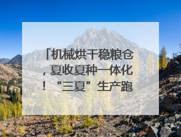 机械烘干稳粮仓，夏收夏种一体化！“三夏”生产跑出加速度｜麦报
