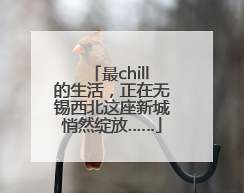 最chill的生活，正在无锡西北这座新城悄然绽放……