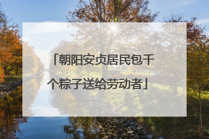 朝阳安贞居民包千个粽子送给劳动者