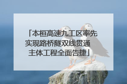 本桓高速九工区率先实现路桥隧双线贯通 主体工程全面告捷