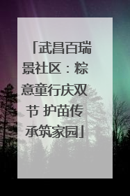 武昌百瑞景社区：粽意童行庆双节 护苗传承筑家园