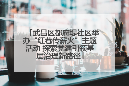 武昌区都府堤社区举办“红巷传薪火”主题活动 探索党建引领基层治理新路径