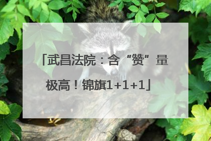 武昌法院：含“赞”量极高！锦旗1+1+1