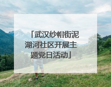 武汉纱帽街泥湖河社区开展主题党日活动