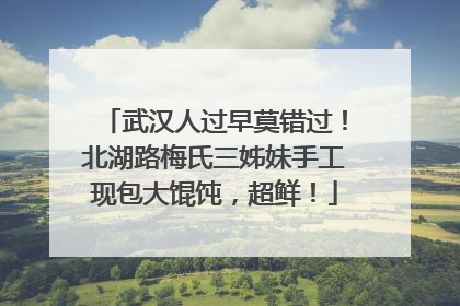 武汉人过早莫错过！北湖路梅氏三姊妹手工现包大馄饨，超鲜！