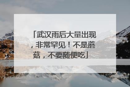 武汉雨后大量出现，非常罕见！不是蘑菇，不要随便吃