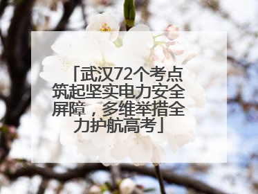 武汉72个考点筑起坚实电力安全屏障，多维举措全力护航高考