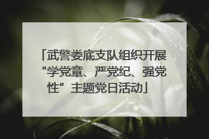 武警娄底支队组织开展“学党章、严党纪、强党性”主题党日活动