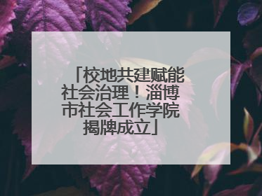 校地共建赋能社会治理！淄博市社会工作学院揭牌成立