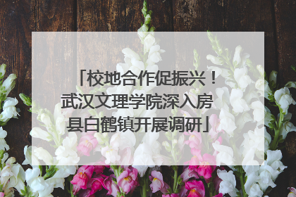 校地合作促振兴！武汉文理学院深入房县白鹤镇开展调研
