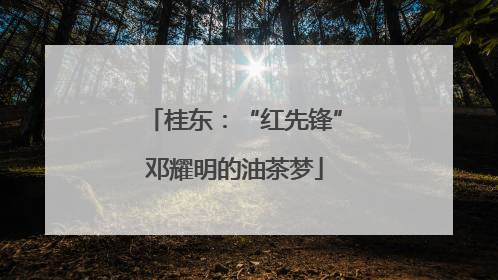 桂东：“红先锋”邓耀明的油茶梦