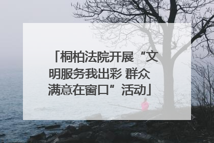 桐柏法院开展“文明服务我出彩 群众满意在窗口”活动