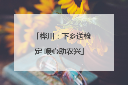 桦川：下乡送检定 暖心助农兴
