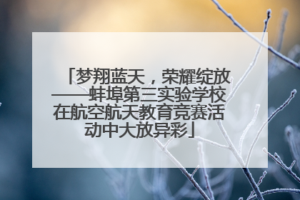 梦翔蓝天，荣耀绽放——蚌埠第三实验学校在航空航天教育竞赛活动中大放异彩