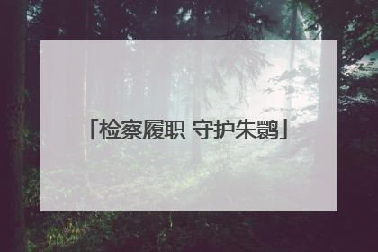 检察履职 守护朱鹮