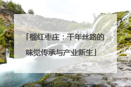 榴红枣庄：千年丝路的味觉传承与产业新生