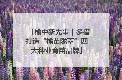 榆中新先事｜多措打造“榆苗陇萃”四大种业育苗品牌