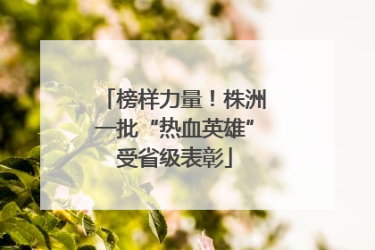 榜样力量！株洲一批“热血英雄”受省级表彰