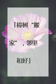 樟树“搬家”，邻里和好