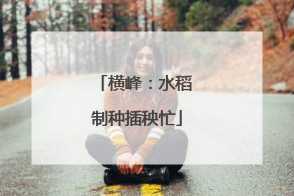 横峰：水稻制种插秧忙