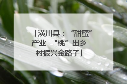 潢川县：“甜蜜”产业  “桃”出乡村振兴金路子