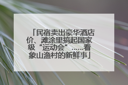 民宿卖出豪华酒店价、滩涂里搞起国家级“运动会”……看象山渔村的新鲜事