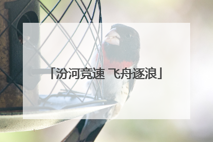 汾河竞速 飞舟逐浪