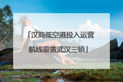汉商低空港投入运营 航线覆盖武汉三镇