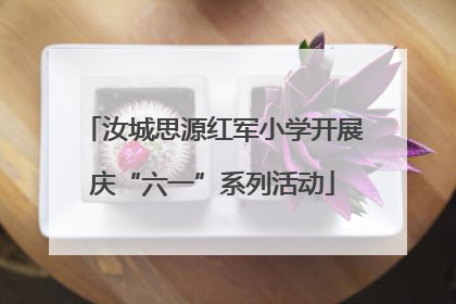 汝城思源红军小学开展庆“六一”系列活动