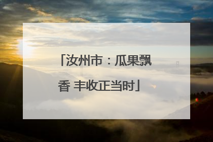 汝州市：瓜果飘香 丰收正当时